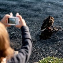 Fotos_otletek_a_szabadban (4)
